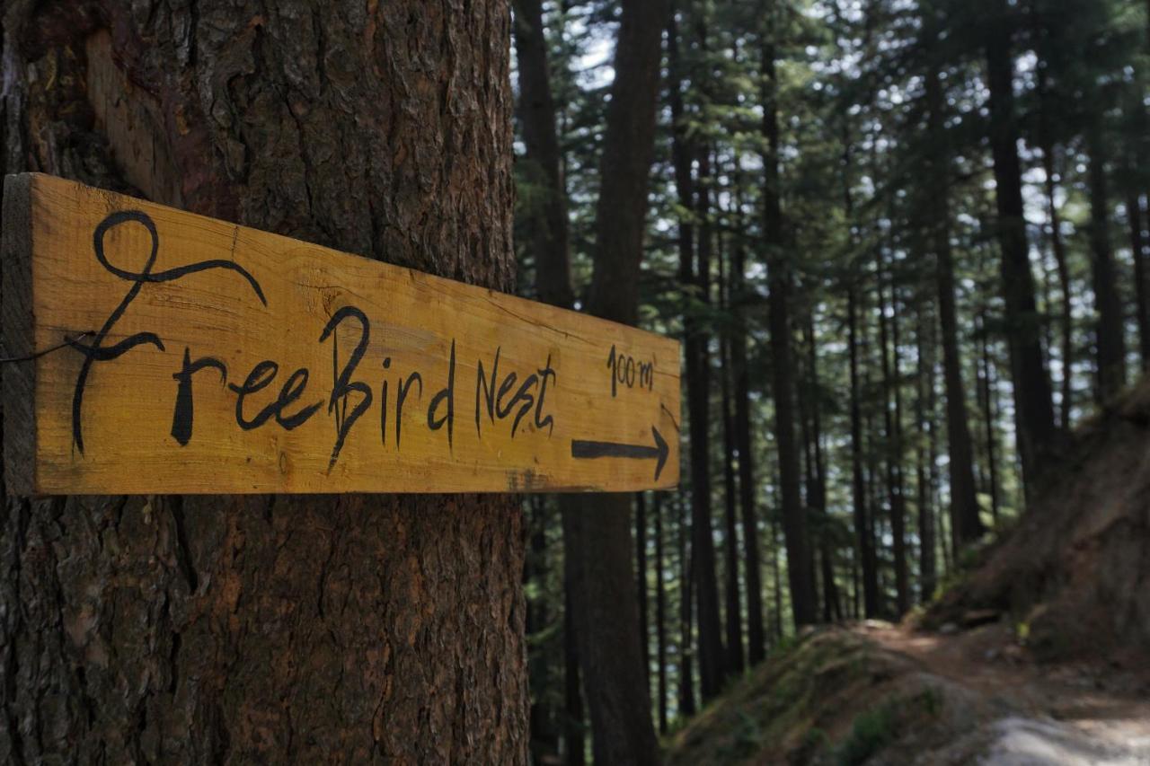 Freebird Nest Jibhi Ξενοδοχείο Εξωτερικό φωτογραφία